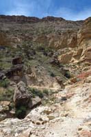 106-well_define_trail_through_pretty_scenery