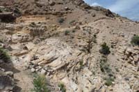 109-well_define_trail_through_pretty_scenery-highly_commend_the_work_to_create_the_loop