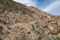 112-well_defined_trail_continues