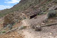 114-looking_back_to_well_defined_trail-unfortunately_this_is_the_end_of_the_developed_trail