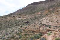 117-scenic_view_along_main_loop_trail-approaching_southern_end
