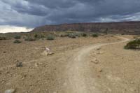 147-left-Excavator_Trail,right-Bears_Best_Trail_loop,sky_looks_really_dark-0320pm