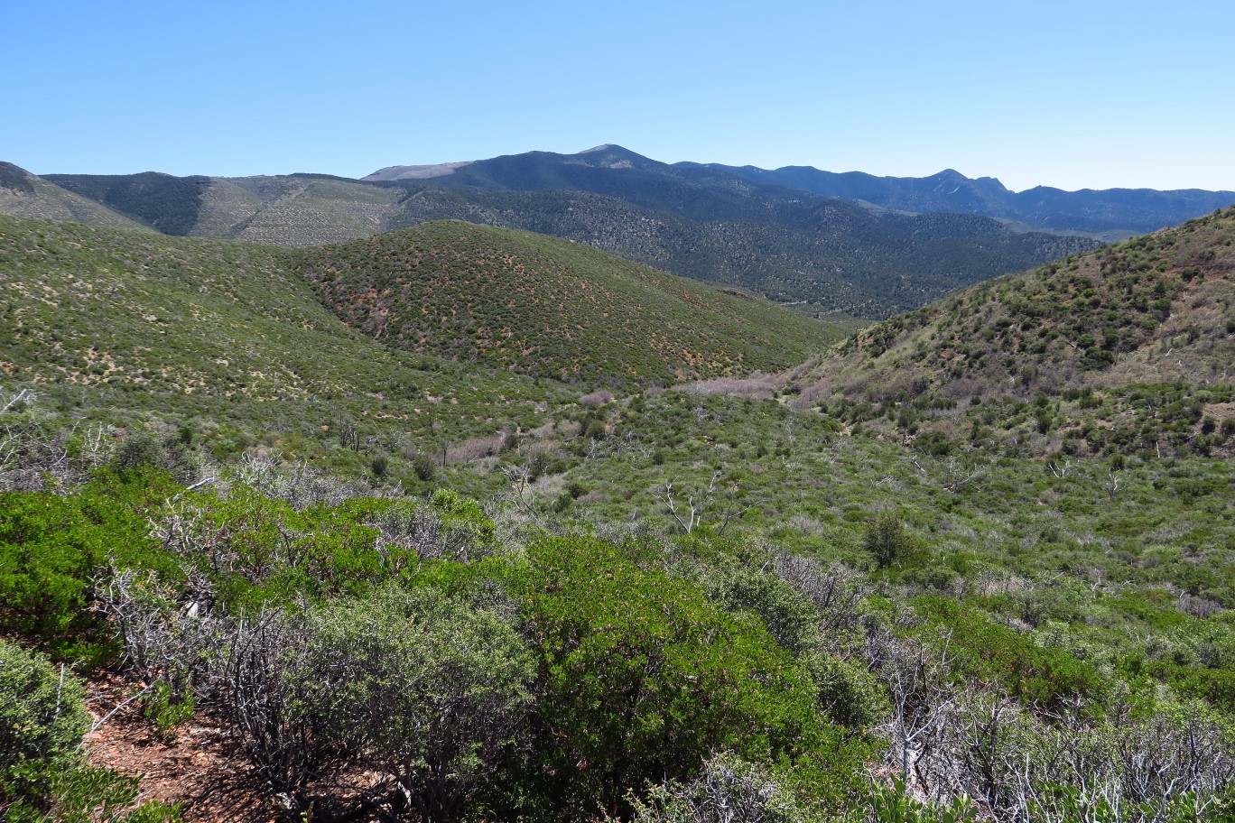 34-scenery_along_the_trail