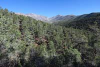 05-scenic_view_along_the_way