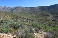 13-scenic_view_looking_towards_eastern_portion_of_trail_loop