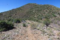 21-unmaintained_trails_more_traveled_usage_trail_close_to_the_main_trail