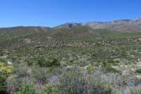 68-scenic_view_of_western_Schaefer_Spring_Loop_I_forgot_to_hike