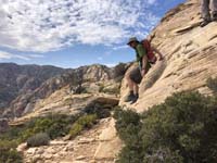 40-Mike_jumping_down-from_Brett