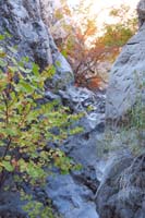16-instead_we'll_go_this_way_up_Waterworld_Canyon