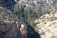 27-zoom_view_across_canyon_of_another_hidden_forest