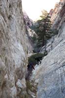 43-continuing_down,lots_of_scrambling,passing_by_several_hidden_forests