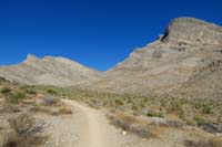 13-trail_offers_scenic_views_of_Orca(Whale),Gottlieb,and_Summerlin_Ridge_Peaks