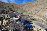 26-mylar_balloons_I_collected_to_be_probably_disposed_of_instead_of_the_desert