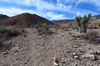33-ZebcoMarsHillTJ_trail_junction,Zebco(behind)_and_Mars_Hill(straight(SW),right(NW)-faint_trails