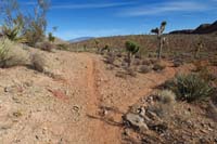 34-looking_back_on_Mars_Hill,didn't_notice_the_trail_to_the_right_so_checking_it_out