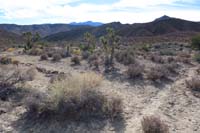 36-returned_to_Mars_Hill_from_obscure_burro_trail,continuing_up_Mars_Hill