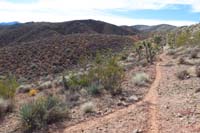 38-returned_to_obscure_burro_track_exploration_to_left,ignore_like_many_others_in_area