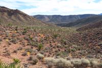 40-pretty_scenery_along_the_trail_even_though_lots_of_obscure_burro_trails_which_are_hard_to_follow