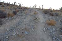 11-unofficial_trail_is_old_road_showing_usage_tracks_from_mountain_bikes_and_footprints