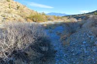 22-looking_back_from_other_side_of_the_wash