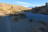 24-looking_back_to_last_wash_crossing,trail_continuation_is_subjective