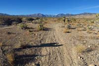 36-top_of_the_slope,nice_scenery,then_trail_curves_to_the_right
