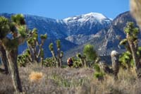 45-scenic_view_of_Charleston_Peak_with_mountain_biker_passing_by_while_on_lunch_break