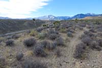 46-scenic_view_along_Pit_Zone_with_Kyle_Canyon_Rd_below
