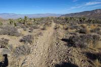 57-well_defined_mostly_clean_trail,great_views_in_afternoon_to_E_or_morning_to_W