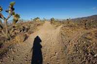 66-Top_Gun_Brake_Burner2_W_TJ-trail_continues_to_R_of_dirt_road,alternate_to_right