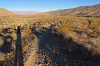 69-Harris_Springs_Rd_ahead,trail_curves_to_right