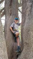 72-Kenny_in_a_tree