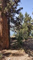 17-gettting_close_to_Round_Lake