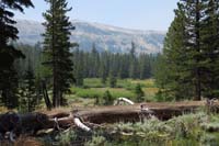 33-pretty_scenery_along_the_trail