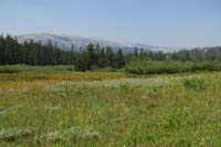 35-more_meadows_and_pretty_scenery