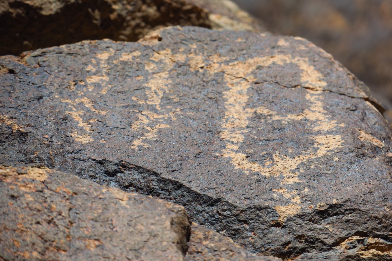 013-zoomed_pic_of_a_petroglyph