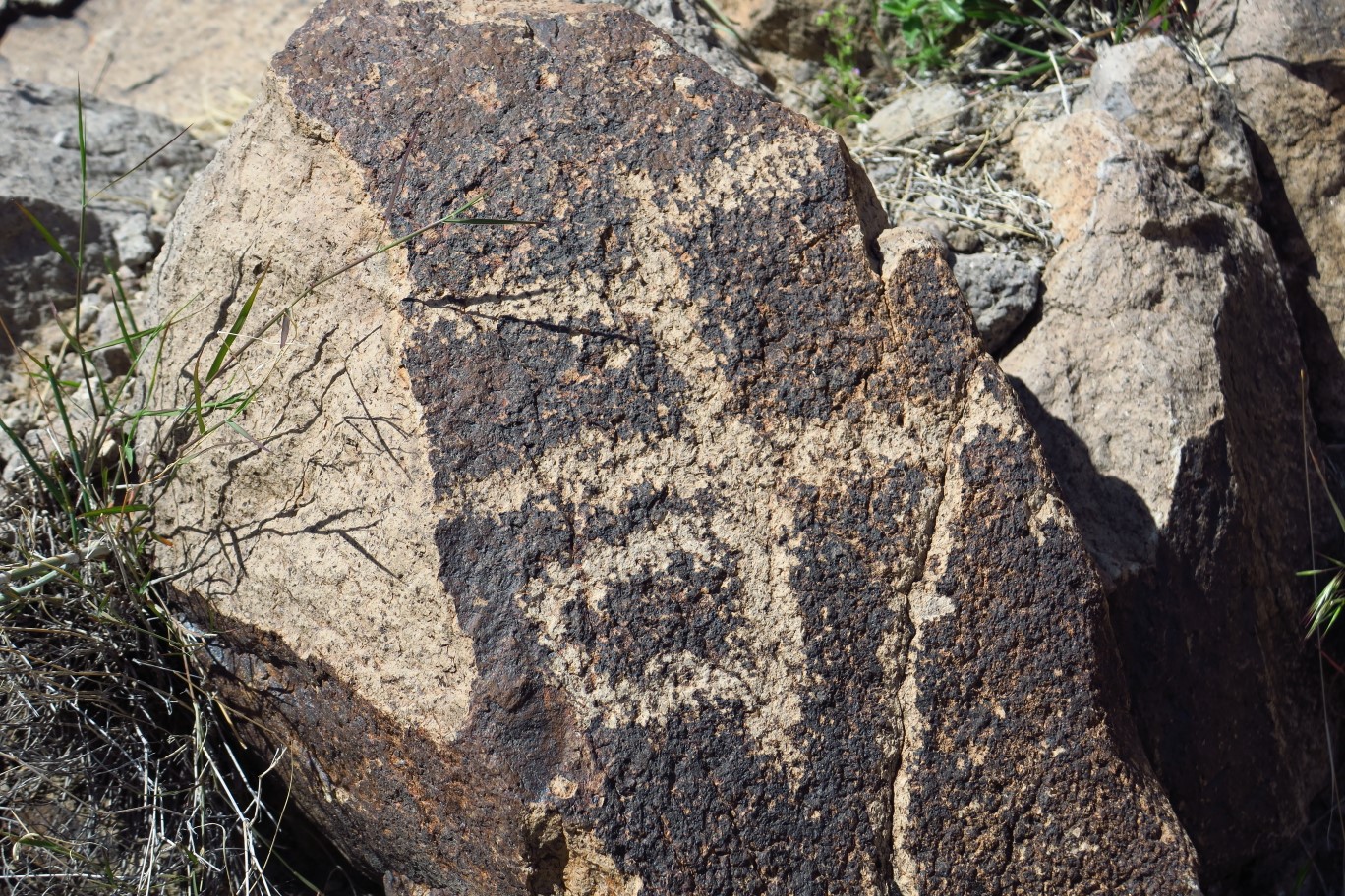 046-petroglyphs