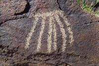 024-petroglyph