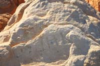 13-unfortunate_graffiti_carved_in_sandstone_on_the_turtle