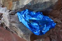 15-found_a_turtle_shell_and_mylar_balloon-we_took_the_balloon