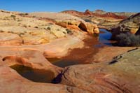 39-colorful_scenic_watering_hole-if_warmer,then_shrimp_would_be_swimming