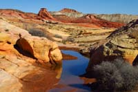 40-colorful_scenic_watering_hole