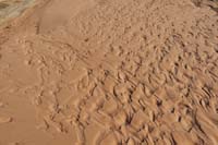 42-scenic_sandy_area_with_patterns_in_sand_from_recent_rain