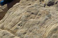 60-unfortunate_graffiti_carved_in_sandstone_on_the_turtle