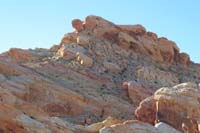 66-Turtle_from_Sandstone_Quarry_parking_lot