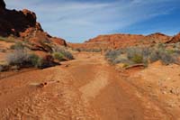 12-very_scenic_wash-moist_sand_probably_from_rainstorm_five_days_ago,otherwise_very_sandy_slog