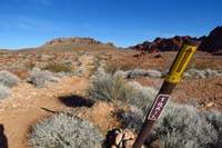 04-trail_marker_and_trail_to_follow-so_much_for_trail_not_marked_warning_at_trailhead