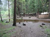 07-receded_flood_waters_at_Housekeeping_Camp