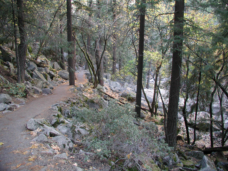 23-Fall_on_the_Mist_Trail