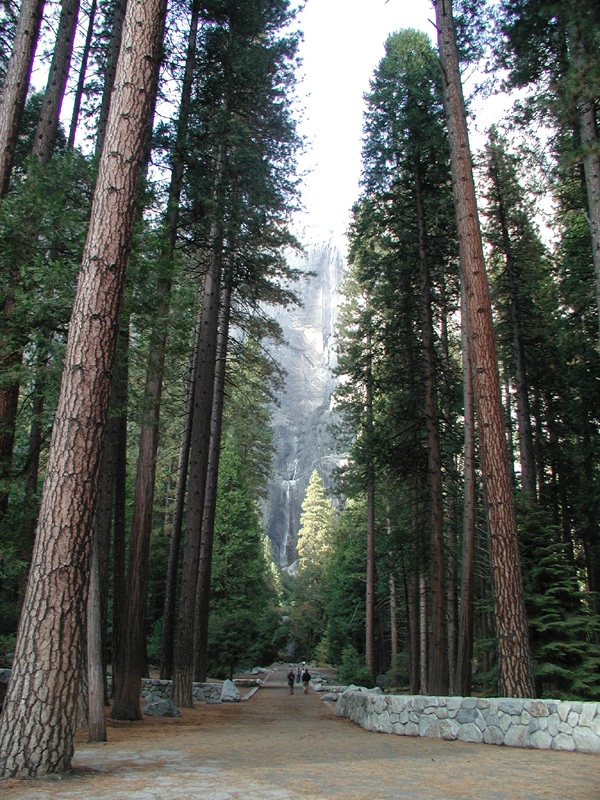 54-Yosemite_Falls_from_lower_falls_trail